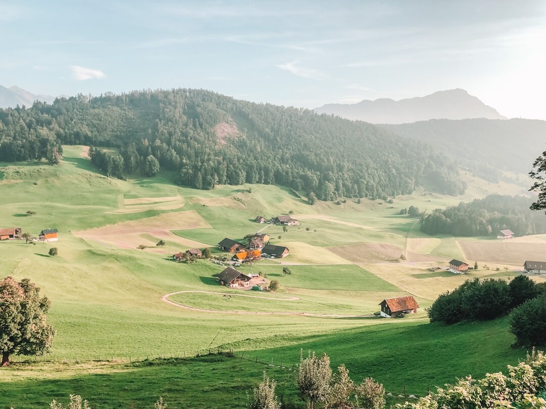 swiss green landscape mountains