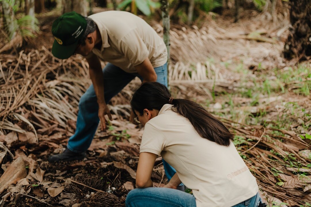 team working on green project