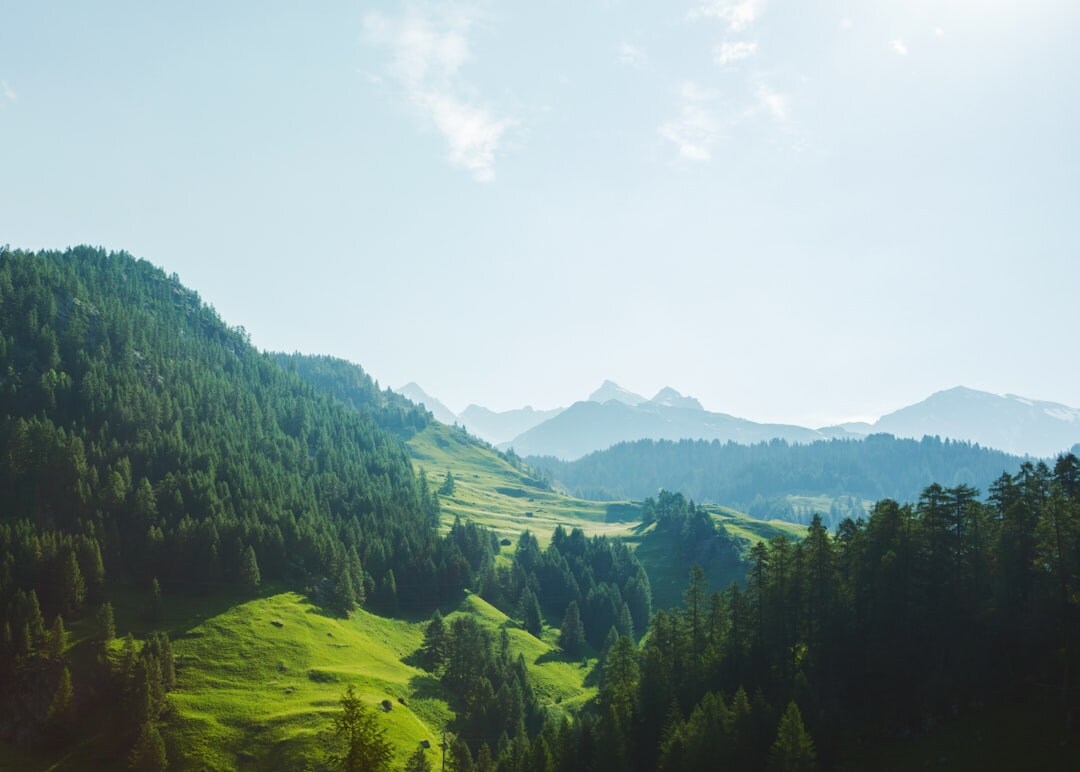 swiss green landscape