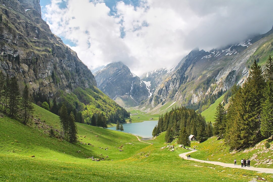 swiss alps nature