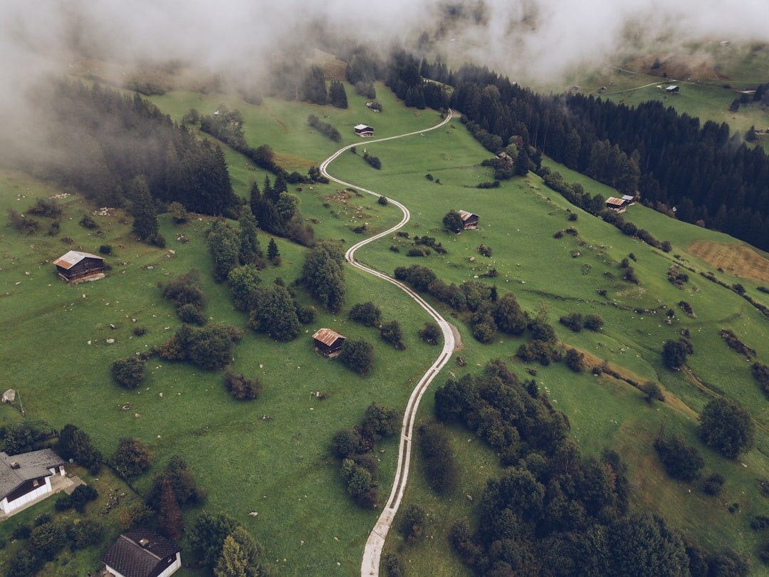 swiss green landscape