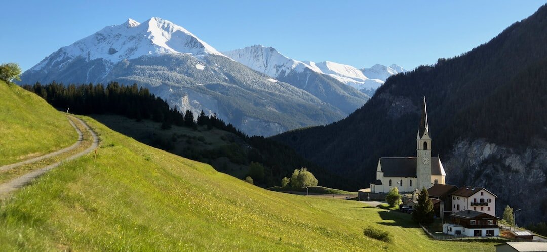 swiss forest trail