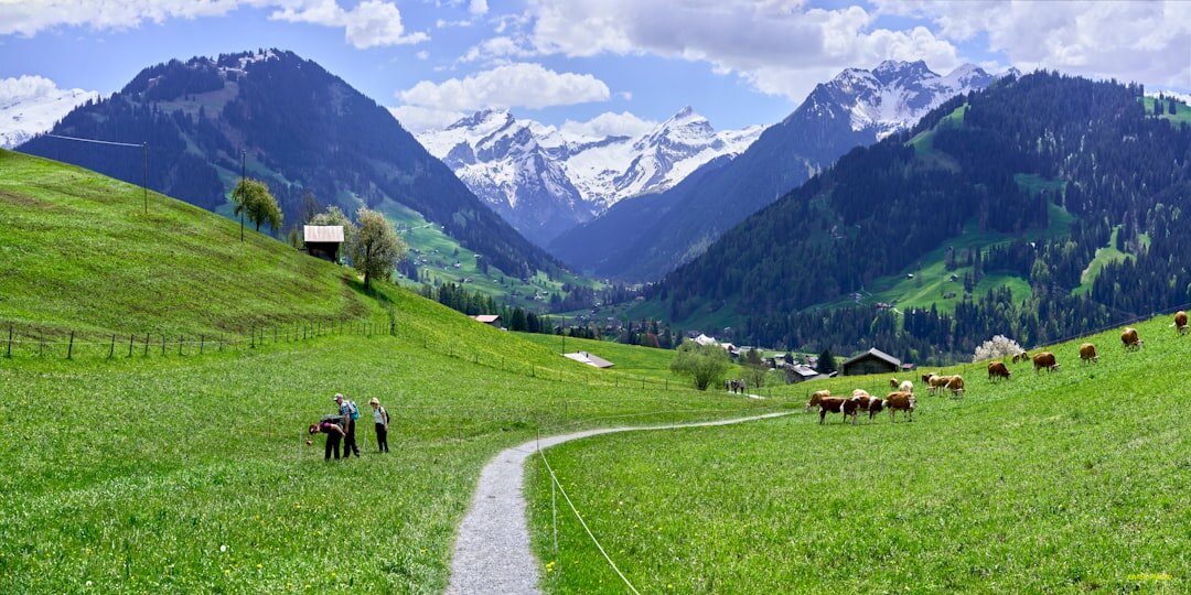 swiss mountains green landscape