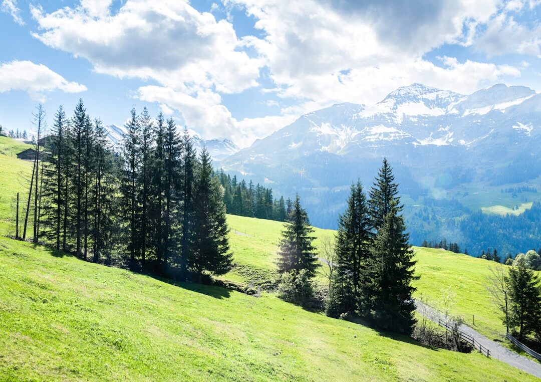 swiss green innovation