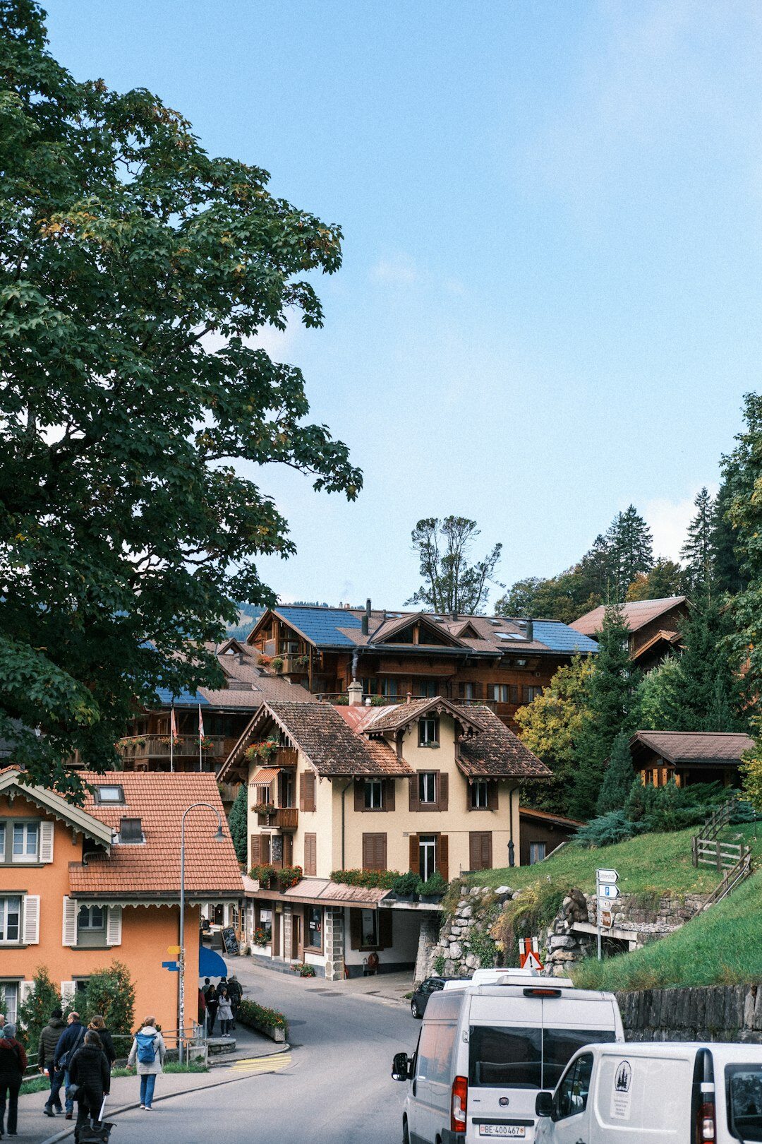 swiss alpine green